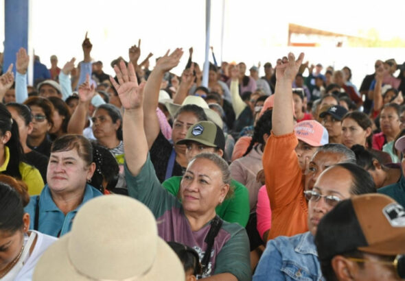 5a61d31ed794cb758475f6c89477dfed_XL