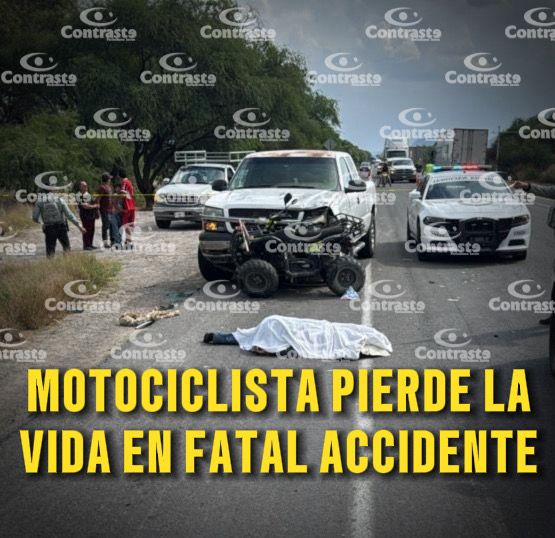 WhatsApp Image 2026-04-20 at 17.23.21