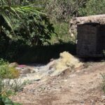 Aguas negras de San Miguel de Allende son desviadas para riego de cultivos en San Miguel Viejo