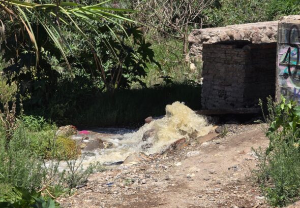 Aguas negras de San Miguel de Allende son desviadas para riego de cultivos en San Miguel Viejo