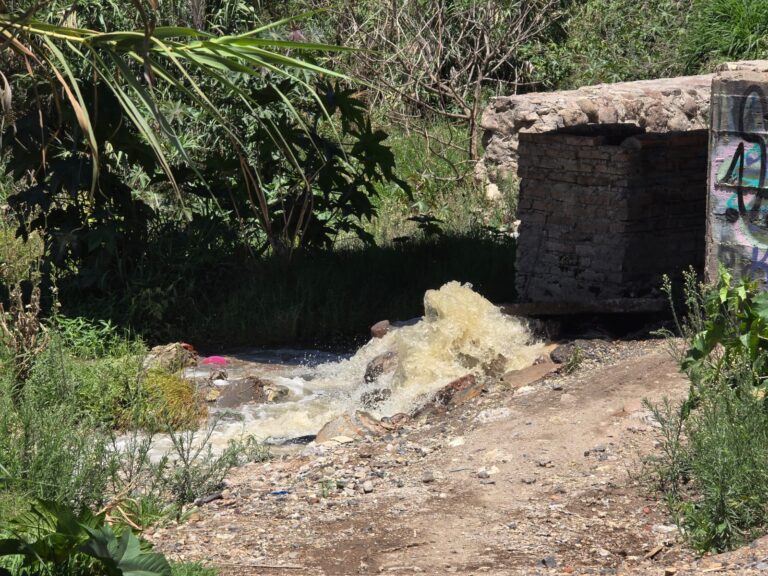 Aguas negras de San Miguel de Allende son desviadas para riego de cultivos en San Miguel Viejo