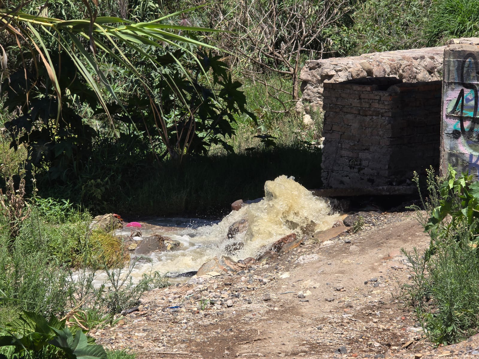 Aguas negras de San Miguel de Allende son desviadas para riego de cultivos en San Miguel Viejo