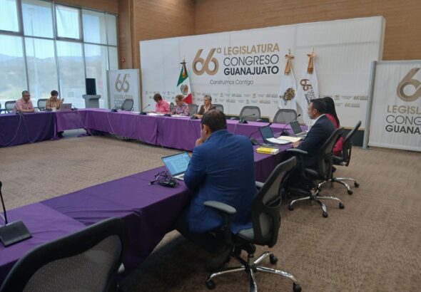 Incendios forestales en Guanajuato: Buscan vetar uso comercial y dar vivienda a jóvenes