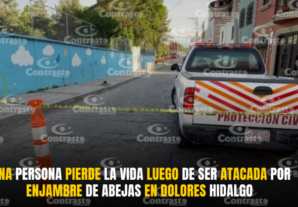 Sin título - 17 de abril de 2026, 23.53.29-2