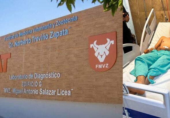 Sin título - 18 de abril de 2026, 00.22.57 (37)