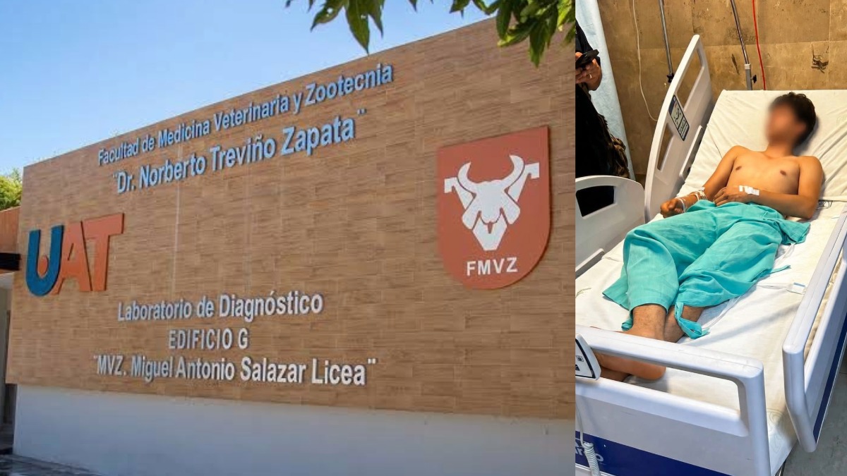 Sin título - 18 de abril de 2026, 00.22.57 (37)