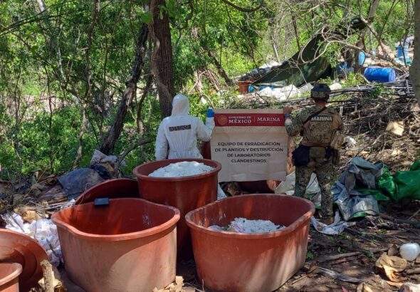 Dos toneladas de droga sintética aseguradas tras desmantelar narcolaboratorio en Sinaloa