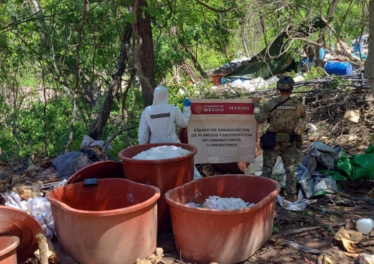 Dos toneladas de droga sintética aseguradas tras desmantelar narcolaboratorio en Sinaloa