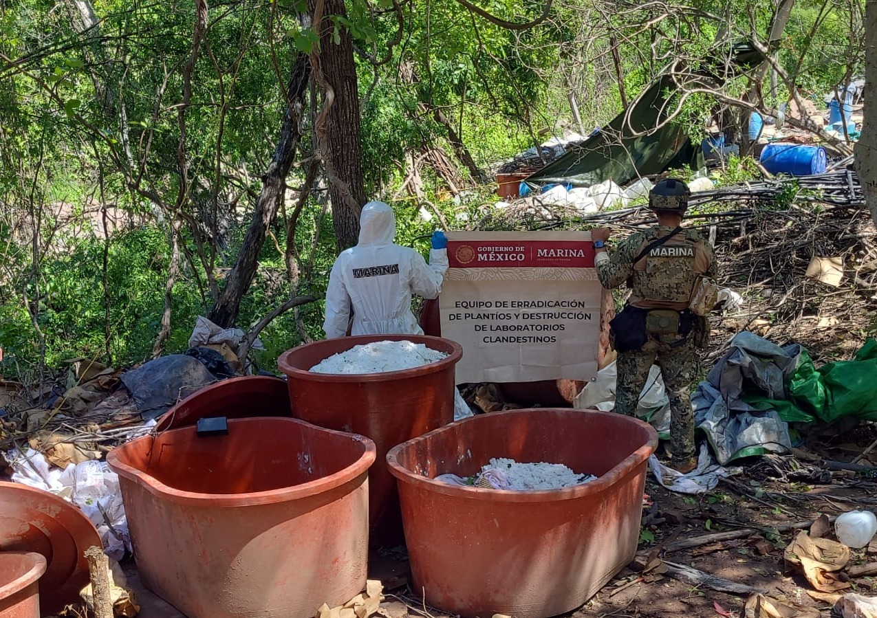 Dos toneladas de droga sintética aseguradas tras desmantelar narcolaboratorio en Sinaloa
